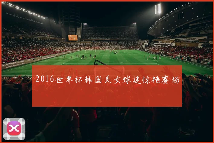 2016世界杯韩国美女球迷惊艳赛场