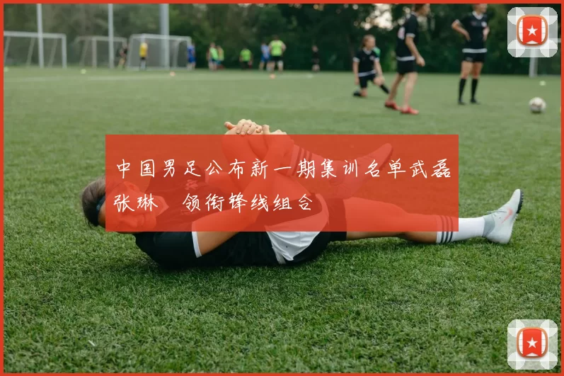 中国男足公布新一期集训名单武磊张琳芃领衔锋线组合