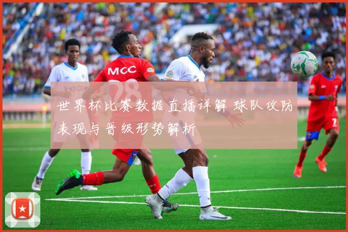 世界杯比赛数据直播详解 球队攻防表现与晋级形势解析