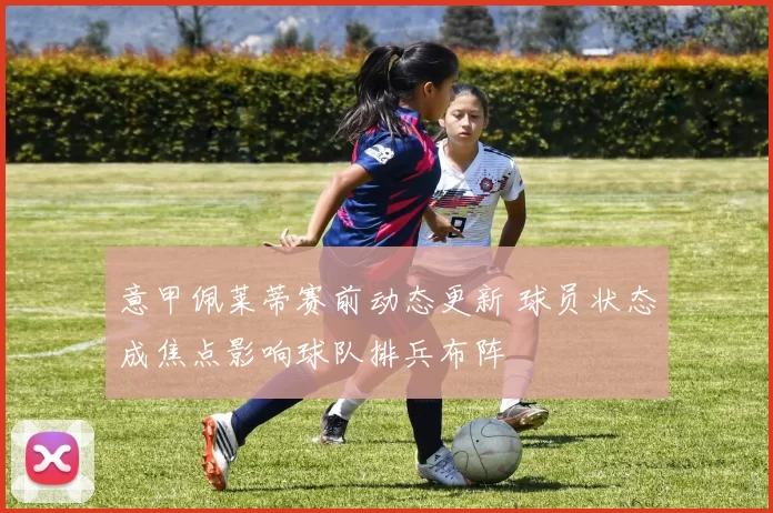 意甲佩莱蒂赛前动态更新 球员状态成焦点影响球队排兵布阵