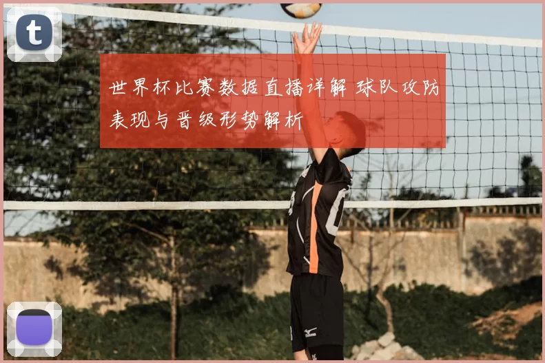 世界杯比赛数据直播详解 球队攻防表现与晋级形势解析