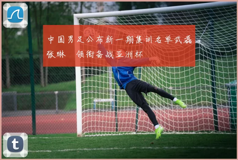中国男足公布新一期集训名单武磊张琳芃领衔备战亚洲杯